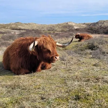 Appartamento Aan Zee Met 2 Parkeerplekken! *