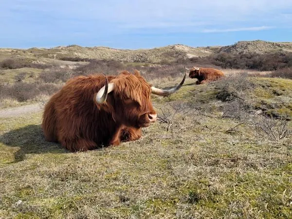 Апартаменты Aan Zee Met 2 Parkeerplekken! *